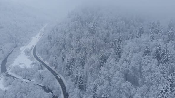 Aerial shot: cars and trucks are driving by the road in winter forest.