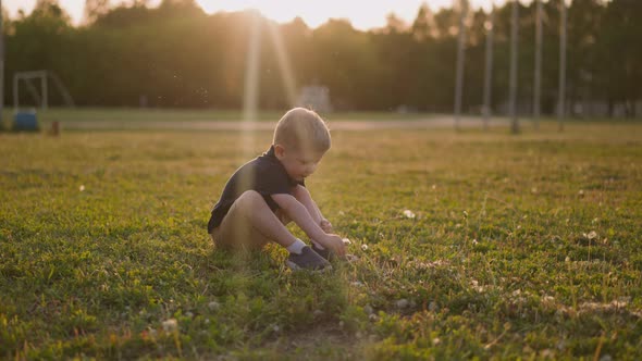 Curious Little Boy Picks Dandelion Sitting on Lawn Grass alt