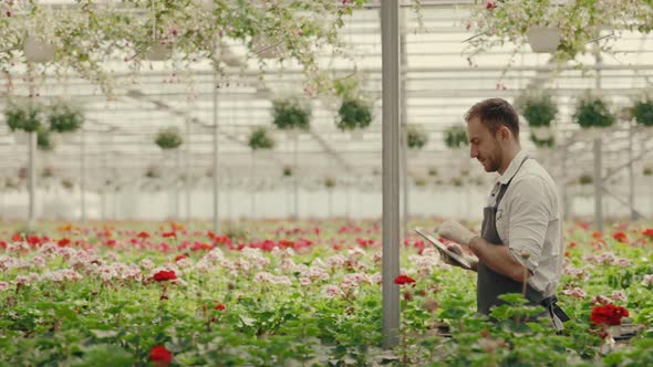 Side View of a Male Greenhouse Worker Walking in the Green House Holding and Taking Notes on Digital alt