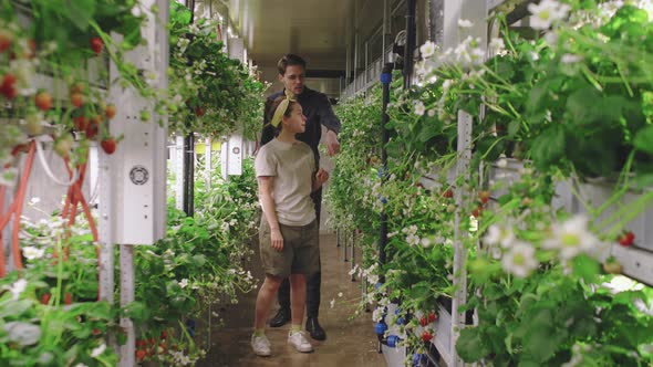 Visiting Strawberry Greenhouse alt