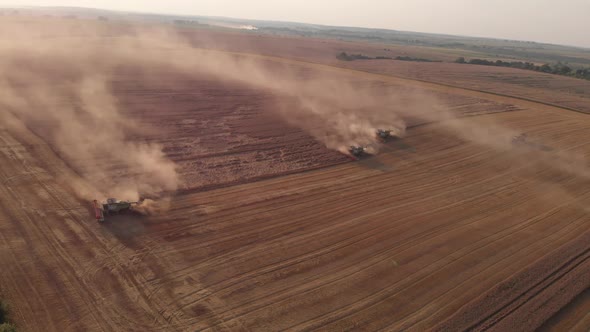 Aerial shot: few combines harvest wheat at sunset. alt