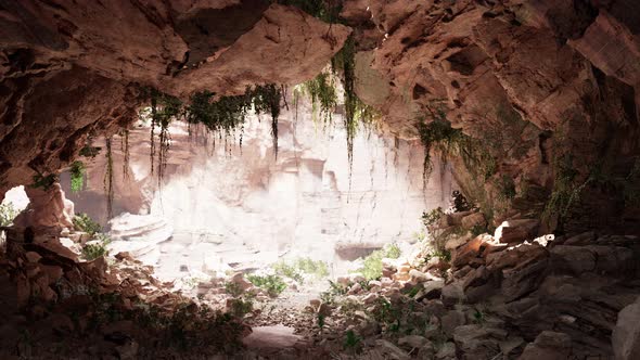 Inside a Limestone Cave with Plants and Sun Shine alt