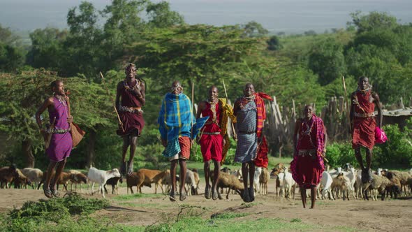 Maasai jumping dance alt