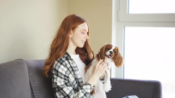 Redhaired Young Woman Gently Combs Her Dog at Home
