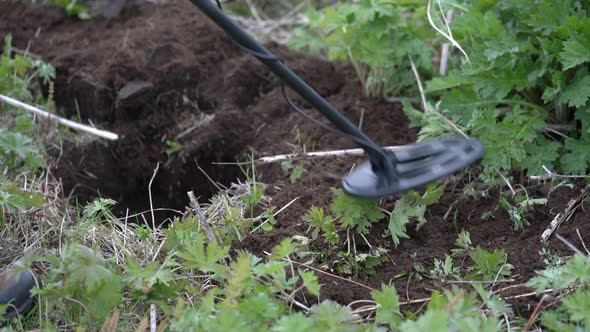 Treasure Hunter with Metal Detector Scanning Ground in Search of Artifacts