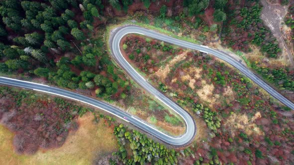 Aerial Top Down Drone Shot Above the Winding Mountain Road Between the Trees Near Carpaty, Ukraine