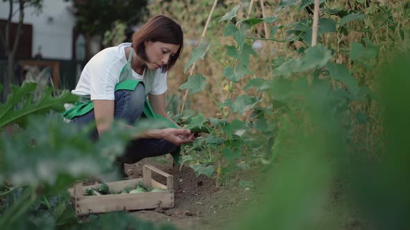 Woman checking smartphone while working in a vegetable garden alt