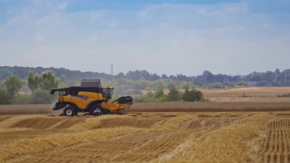 Modern combine harvester on the field.  alt