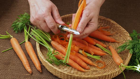 Root vegetable. Closeup woman's hands peeling carrot.