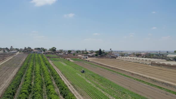 Tractor at Cabbage Field at Sdot Negev Israel alt
