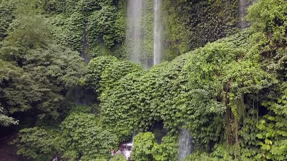 Waterfall water curtain overgrown green walls.Daring aerial view flight rising up drone footageWat alt