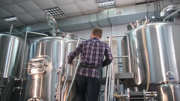 A Male Brewer in an Apron with a Beard Looks Inside the Beer Tank and Controls the Brewing Process. alt