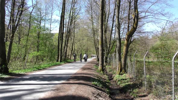 Weekend People Riding Bicycles in the Park alt