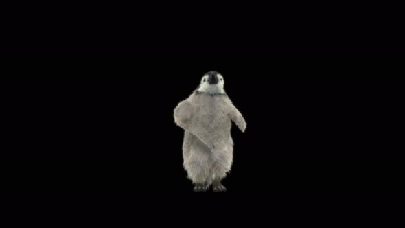 Penguin Dancing 4K alt