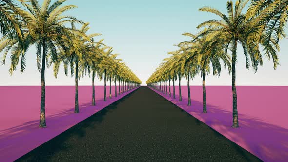 Palm animation and the road. Camera moves forward palm tree alley.