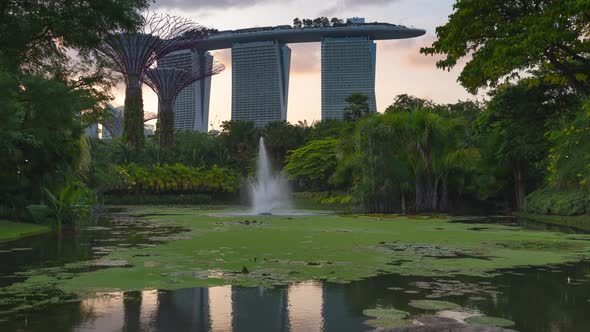 Time lapse supertree grove Futuristic view of amazing illumination. alt