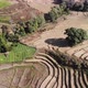 Aerial view over nature view terraced rice fields - VideoHive Item for Sale