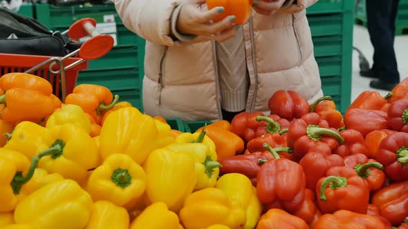 a Woman Chooses Bell Peppers in the Market Among Yellow and Orange Varieties
