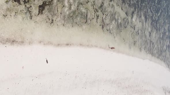 Vertical Video of a Coastal Landscape in Zanzibar Tanzania Aerial View alt
