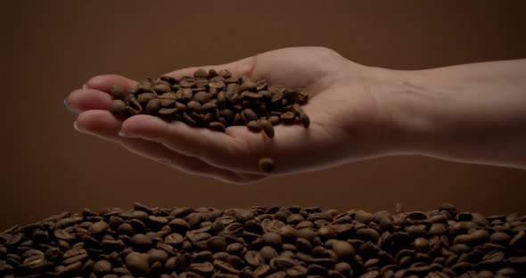 Female Hand Full of Coffee Beans Turns and Coffee Beans Falling Down Slowly