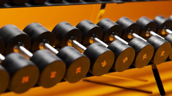 Dumbbells row on a special rack in a gym or fitness club. Sport, bodybuilding. alt