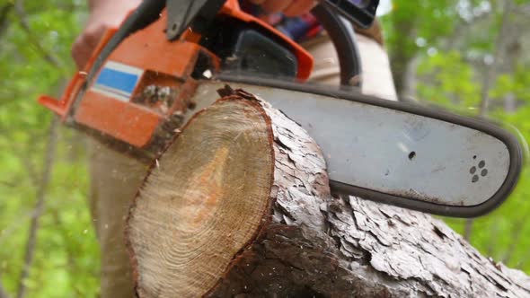 Cutting Through Wood with Chainsaw in Slow Motion