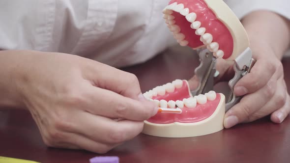 Dentist Brushes Floss on Layout