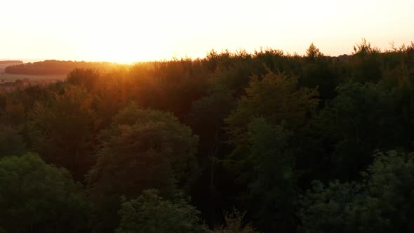 Rising up and over a forest at sunrise