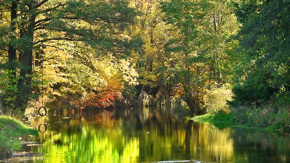 River In Autumn