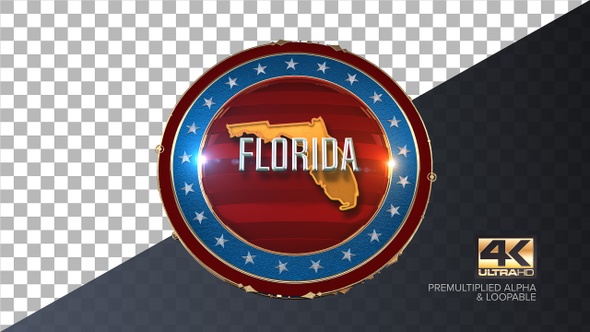 Florida United States of America State Map with Flag 4K