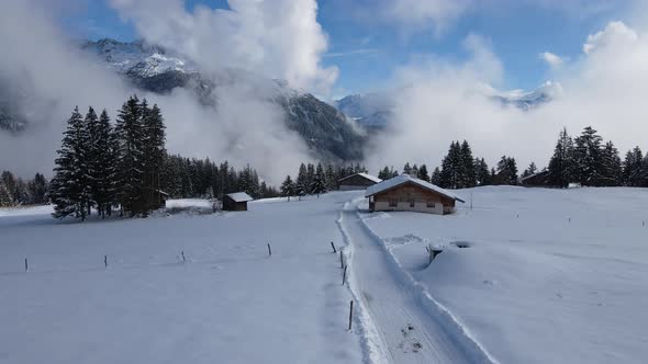 Fir trees and small cottages on snowy mountain slope in winter alt