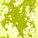 Kiwifruit Juice Splash Collision