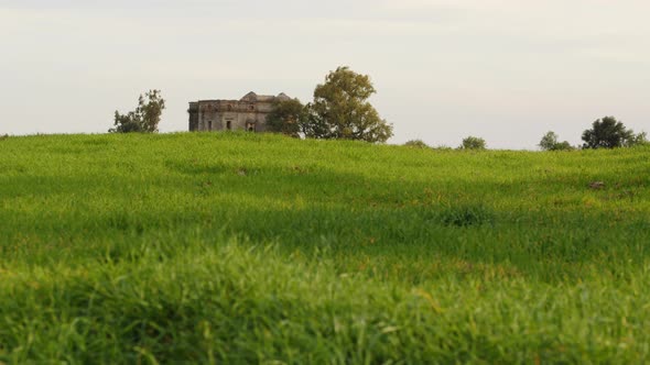 Castle Over an Endless Green Meadow in Calabria alt