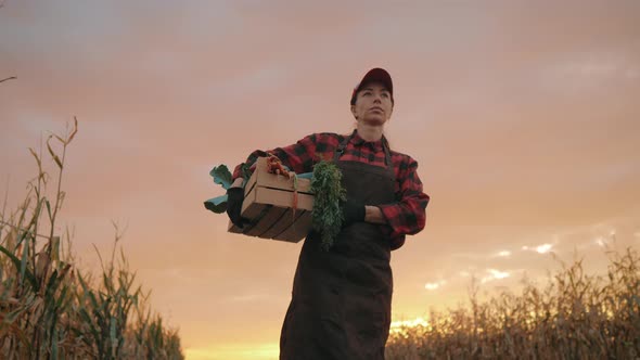 Organic Vegetables alt