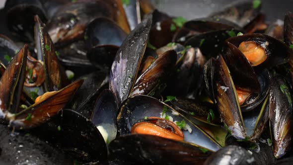 Mussels 11 alt