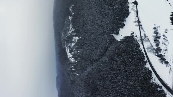 Vertical video: snowy European highland forest, truck driving on highway road alt