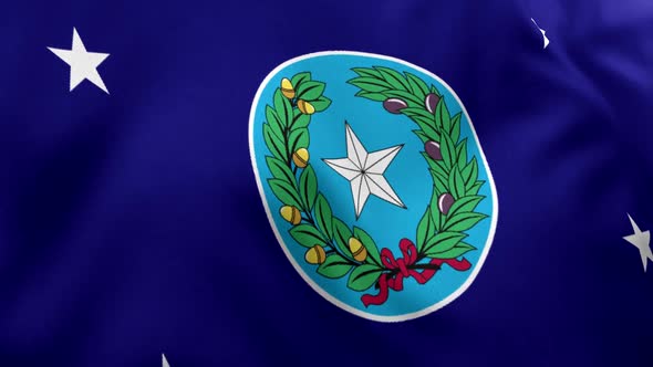Governor of Texas Flag alt