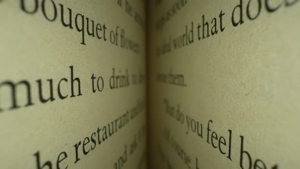Words Inside of a Book 15 alt