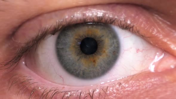 HD - Identification. Digital Retinal Scan. Close-up alt