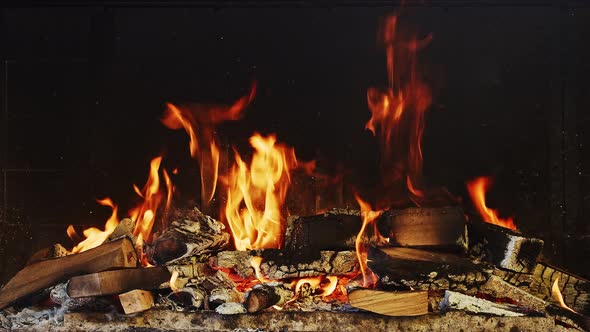 Pile Of Firewood Burning Loop alt