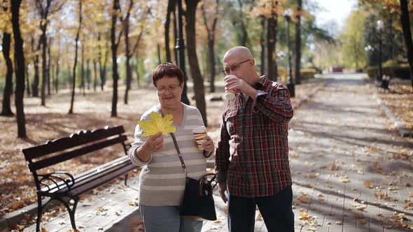 Elderly Couple Walking in Autumn Park