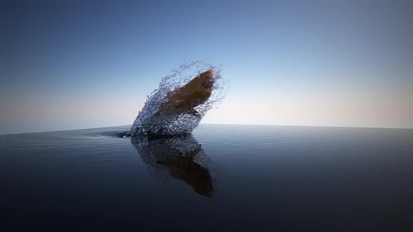 Shark Jumping Out Of The Water (3)