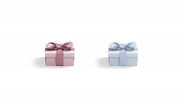 Blank pink and blue gift box mock up, looped rotation alt
