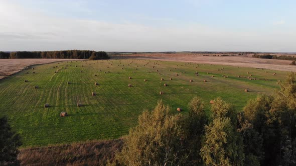 Flying Over A Field With Hay Rolls