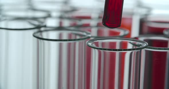 Testing Blood in a Laboratory alt