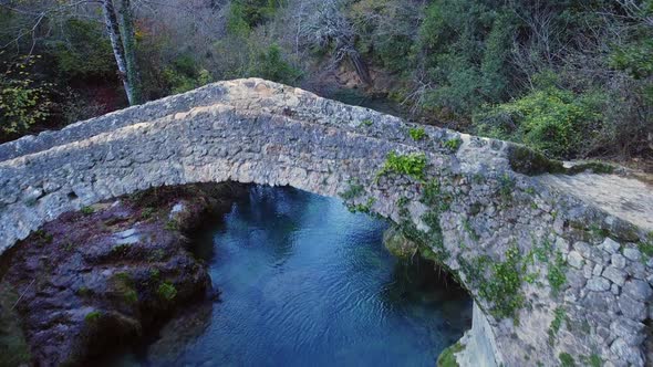 Forest, river and a bridge from above, drone shoots alt
