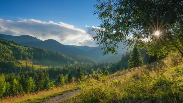 Green Mountains at Sunset. Magnificent Hiking Trails, Recreation Glades and Green Trees. Rays of the alt