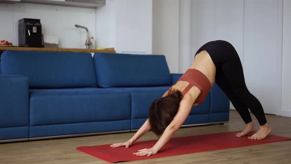Woman Practice Yoga at Home Basic Asanas alt