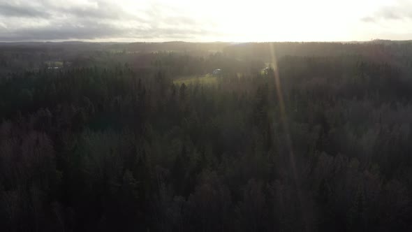 Scenic aerial shot of flight over green forest tree tops in sunset
