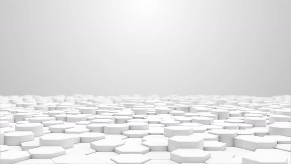 Hexagon white background